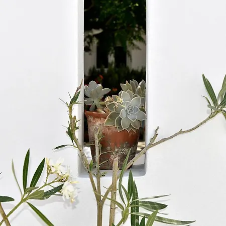 Nyaraló Cristina's House, Elegant Boho Walk To Port Adámasz
